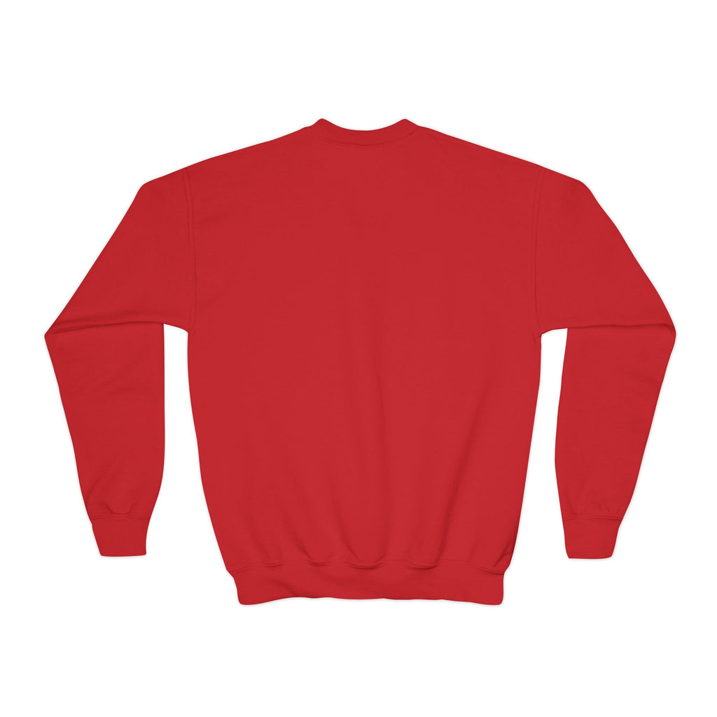 Christmas Fun Youth Crewneck Sweatshirt – Festive Kids Holiday Pullover