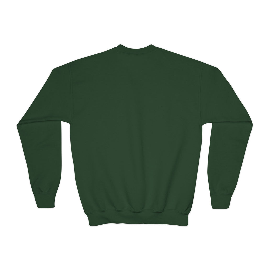 Christmas Fun Youth Crewneck Sweatshirt – Festive Kids Holiday Pullover